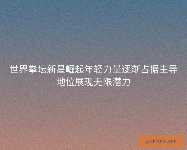 世界拳坛新星崛起年轻力量逐渐占据主导地位展现无限潜力